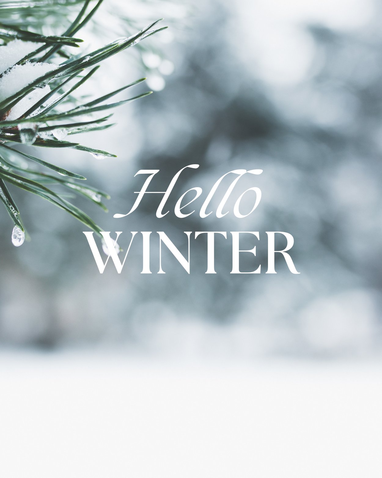 Winter Collection