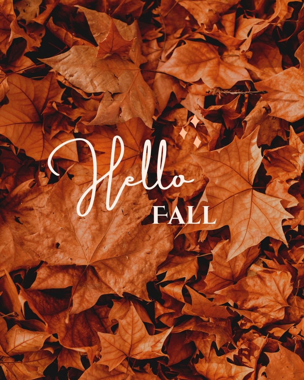 Fall Collection